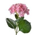 Clayre & Eef Fleur artificielle Hortensia 65 cm Rose Plastique