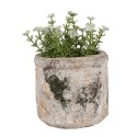 Clayre & Eef Pot de fleurs Ø 12x11 cm Beige Vert Terre cuite