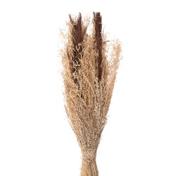 Clayre & Eef Dried Flowers 60 cm Brown Dried Flowers