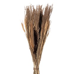 Clayre & Eef Dried Flowers 60 cm Beige Dried Flowers