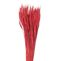 Clayre & Eef Trockenblumen 80 cm Rot Trockenblumen