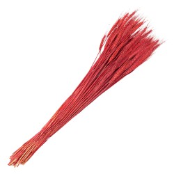 Clayre & Eef Dried Flowers 80 cm Red Dried Flowers