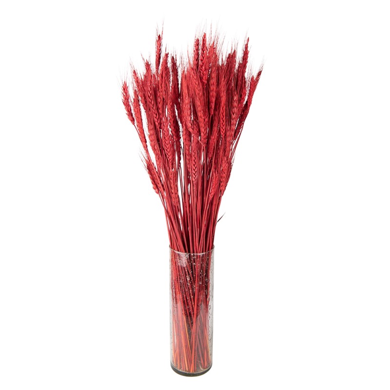 Clayre & Eef Droogbloemen  80 cm Rood Droogbloemen