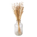 Clayre & Eef Trockenblumen 60 cm Beige Trockenblumen