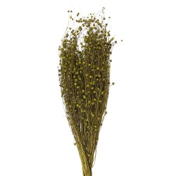 Clayre & Eef Dried Flowers 60 cm Green Dried Flowers