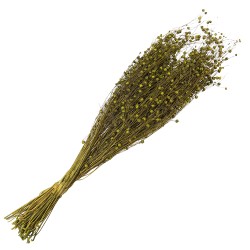 Clayre & Eef Dried Flowers 60 cm Green Dried Flowers