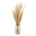 Clayre & Eef Droogbloemen  55 cm Beige Droogbloemen