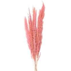 Clayre & Eef Dried Flowers 100 cm Pink Dried Flowers