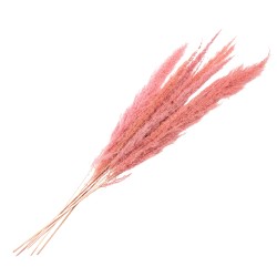 Clayre & Eef Dried Flowers 100 cm Pink Dried Flowers