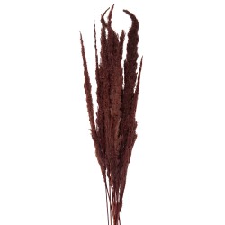 Clayre & Eef Dried Flowers 100 cm Brown Dried Flowers