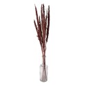 Clayre & Eef Fleurs séchées 100 cm Marron Fleurs séchées