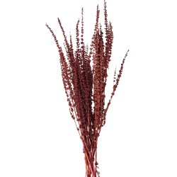 Clayre & Eef Dried Flowers 85 cm Red Dried Flowers