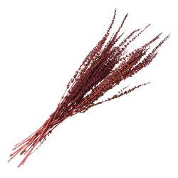 Clayre & Eef Dried Flowers 85 cm Red Dried Flowers