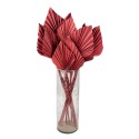 Clayre & Eef Droogbloemen  60 cm Roze Droogbloemen