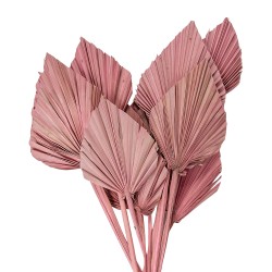 Clayre & Eef Droogbloemen  55 cm Roze Droogbloemen