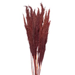 Clayre & Eef Dried Flowers 100 cm Red Dried Flowers