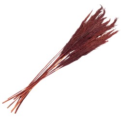 Clayre & Eef Dried Flowers 100 cm Red Dried Flowers