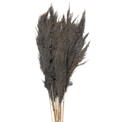 Clayre & Eef Dried Flowers 100 cm Grey Dried Flowers