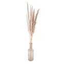 Clayre & Eef Droogbloemen  100 cm Beige Droogbloemen