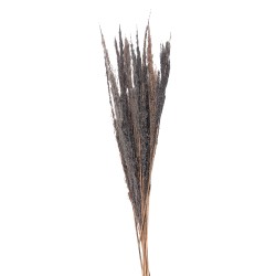 Clayre & Eef Dried Flowers 100 cm Grey Dried Flowers