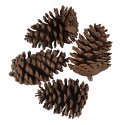 Clayre & Eef Decoratie Set van 4 Dennenappel 8/10 cm Bruin Hout