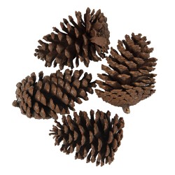 Clayre & Eef Décoration set de 4 Pomme de pin 8/10 cm Marron Bois