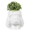 Clayre & Eef Planter 18x18x19 cm White Porcelain