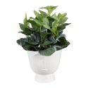 Clayre & Eef Planter Ø 17x15 cm White Ceramic Face