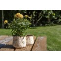 Clayre & Eef Planter Ø 14x12 cm Beige Yellow Ceramic Flowers