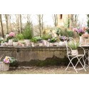 Clayre & Eef Dekorative Kanne 20x16x22 cm Beige Rosa Keramik Blumen