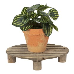 Clayre & Eef Petit table de plante 30x24x6 cm Marron Bois Ovale