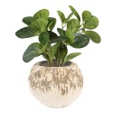 Clayre & Eef Planter Ø 18x13 cm Beige Brown Stone Round