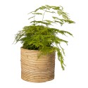 Clayre & Eef Plant Holder Ø 26x22 cm Brown Rattan Round