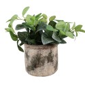 Clayre & Eef Blumentopf Ø 14x12 cm Beige Grün Terrakotta