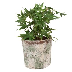 Clayre & Eef Pot de fleurs Ø 18x16 cm Beige Terre cuite