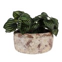 Clayre & Eef Planter Ø 23x11 cm Beige Brown Terracotta