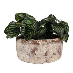 Clayre & Eef Pot de fleurs Ø 23x11 cm Beige Marron Terre cuite