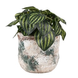 Clayre & Eef Planter Ø 14x12 cm Beige Green Terracotta