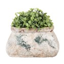 Clayre & Eef Bloempot 17x13x9 cm Beige Groen Terracotta