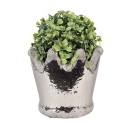 Clayre & Eef Blumentopf Krone Ø 15x14 cm Silberfarbig Terrakotta