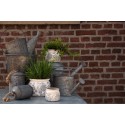 Clayre & Eef Decoratie Gieter  44x12x22 cm Grijs Ijzer