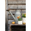 Clayre & Eef Decorative Watering Can 46x18x41 cm Grey Metal