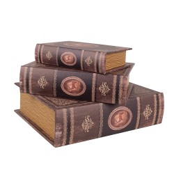 Clayre & Eef Scatola di archiviazione set di 3 Libri 27/22/17 cm Marrone Legno