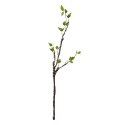 Clayre & Eef Artificial Plant 78 cm Green Plastic