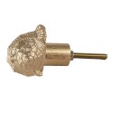 Clayre & Eef Door Knob Shell 8x4x5 cm Gold colored Plastic