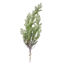 Clayre & Eef Artificial Plant 100 cm Green Plastic