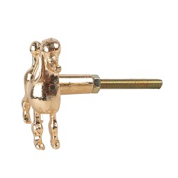 Clayre & Eef Door Knob Dog Poodle 5x4x5 cm Gold colored Iron