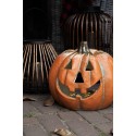 Clayre & Eef Decoration Pumpkin 36x33x32 cm Orange Plastic