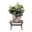 Clayre & Eef Plant Table 24x13x14 cm Brown Wood