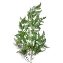 Clayre & Eef Artificial Plant 15x10x104 cm Green Plastic